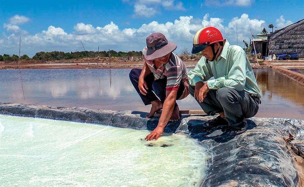 Trải bạt làm muối